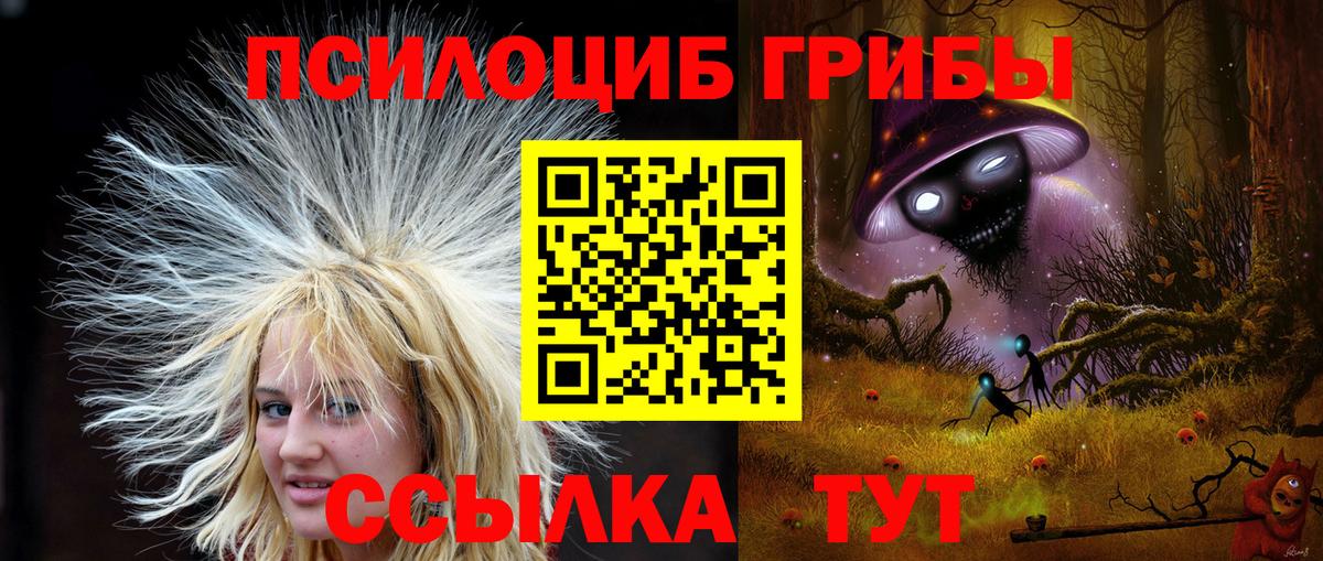 Псилоцибиновые грибы GOLDEN TEACHER  Галлюциногенные грибы ЛСД  Вход с VPN  Холмск 